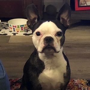 Meet your Posher, Andrew